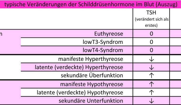 Konstellation Schilddrüsenhormone